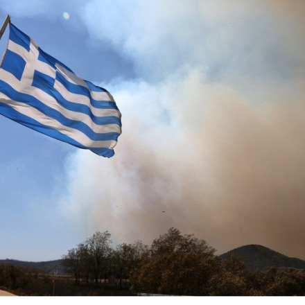 Φωτιά στον Έβρο: Πριν και μετά από την καταστροφική πυρκαγιά στη Δαδιά - Συγκλονιστικές εικόνες