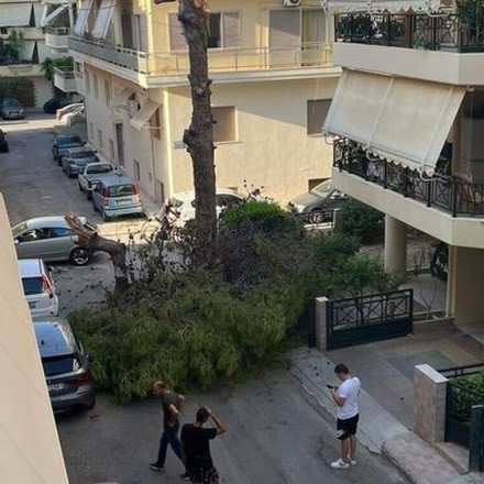 Ηράκλειο: Έπεσε δέντρο σε γειτονιά - Από θαύμα γλίτωσαν περαστικοί