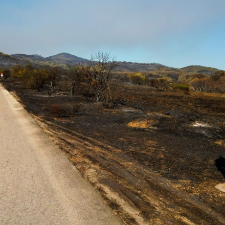Φωτιά στον Έβρο: Μαίνεται για 13η ημέρα – Σε ετοιμότητα για εκκένωση το Σουφλί και το χωριό της Δαδιάς