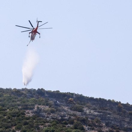 Εμπρηστής Αυλώνα: Κρίθηκε προφυλακιστέος - Θα γίνει ψυχιατρική πραγματογνωμοσύνη