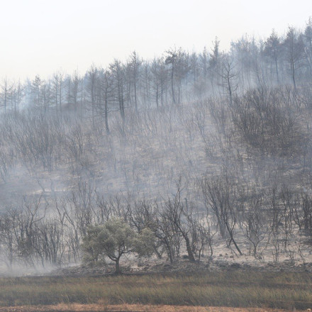 Φωτιά στον Έβρο: Νέα δορυφορική εικόνα από την ανυπολόγιστη καταστροφή