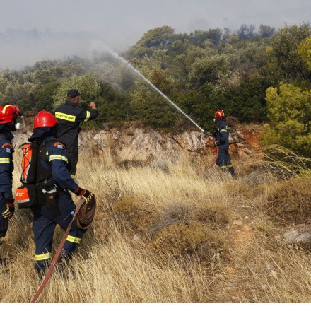 Φωτιά τώρα: Υπό έλεγχο η πυρκαγιά στην Παλλήνη