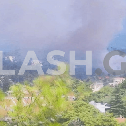 Φωτιά στη Σταμάτα: Προσαγωγή υπόπτου για εμπρησμό