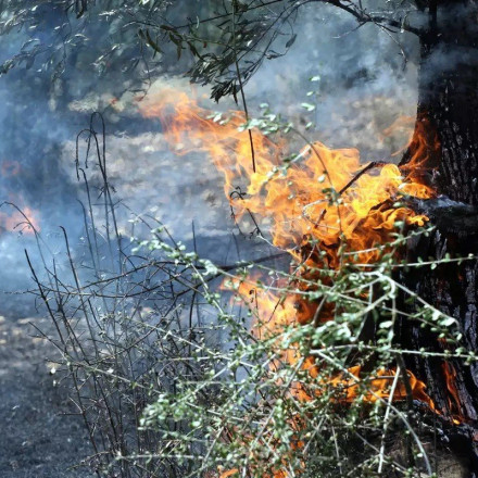 Φωτιές: Πολύ υψηλός κίνδυνος για την Κυριακή 13 Αυγούστου