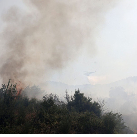 Φωτιά τώρα στον Πρόδρομο Βοιωτίας – Μήνυμα του 112