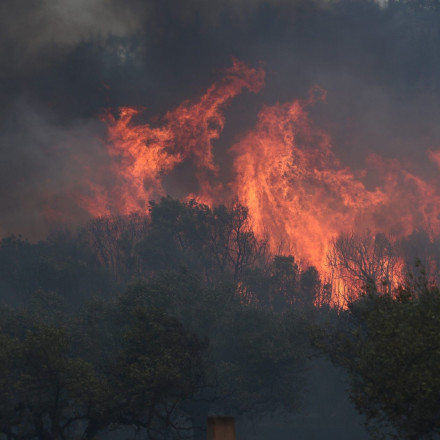 Φωτιά στον Εβρο: Συγκλονίζει ο Δήμαρχος Σουφλίου – «Θα πρέπει να νικήσουμε αυτόν τον πόλεμο»