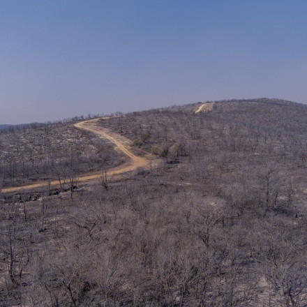 Φωτιά στον Έβρο: Τι περιλαμβάνει η κρατική βοήθεια προς τους πληγέντες - Ανοίγει η πλατφόρμα arogi.gov.gr
