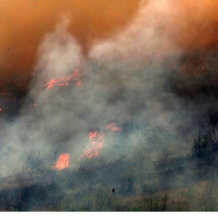 Φωτιά στην Ροδόπη: Μήνυμα του 112 για εκκένωση της Γρατινής – «Απομακρυνθείτε προς Κομοτηνή»