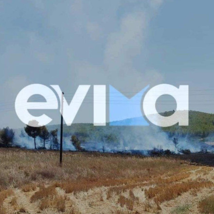 Φωτιά στην Εύβοια – Απογειώθηκαν εναἐρια μέσα [vid]