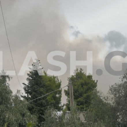 Φωτιά τώρα στη Σταμάτα: Καίει σε δασική έκταση