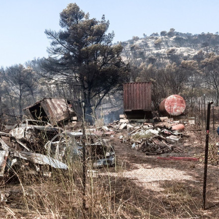 Πάρνηθα: Εντοπίστηκε από εθελοντές καμένο κρανίο στη Φυλή