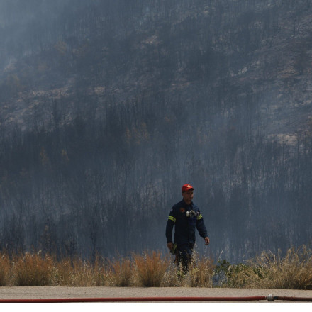 Φωτιές στην Ανατολική Αττική: Ανείπωτη καταστροφή – Κάηκαν σχεδόν 35.000 στρέμματα