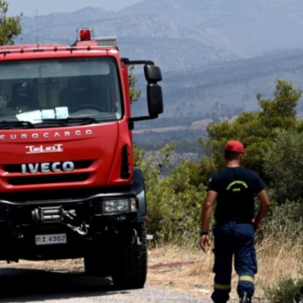 Τρίκαλα: Συνελήφθη γυναίκα για εμπρησμό από πρόθεση