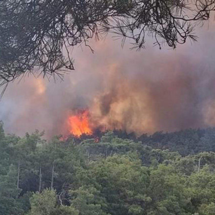 Φωτιά στη Ρόδο: Απελπιστική η κατάσταση - Καίγεται παρθένο δάσος - Ενισχύονται οι δυνάμεις