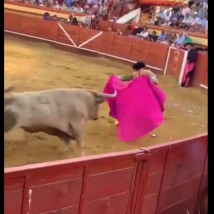 Μαδρίτη: Ταύρος «εκτόξευσε» στον αέρα ταυρομάχο - Στο νοσοκομείο με σοβαρά τραύματα [vid]