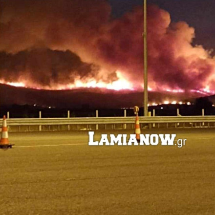 Φωτιά στην Θήβα: Μαίνεται το μέτωπο - Οι φλόγες έφτασαν στην Εθνική Οδό [vid]