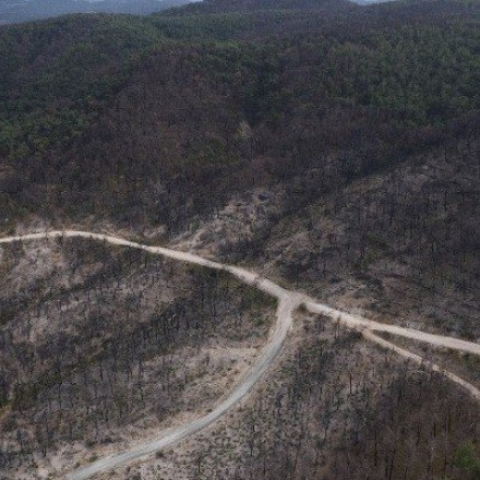 Δαδιά: Έσβησε η πυρκαγιά, σε επιφυλακή η πυροσβεστική για αναζωπυρώσεις