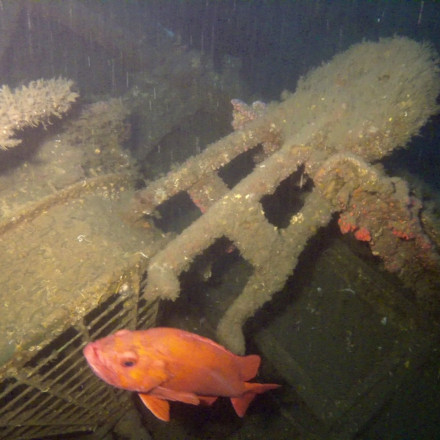 Πλοίο «φάντασμα» που βυθίστηκε αύτανδρο στις ΗΠΑ βρέθηκε μετά από σχεδόν έναν αιώνα