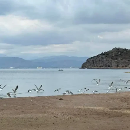 Οι τελευταίοι λουόμενοι της Καραθώνας