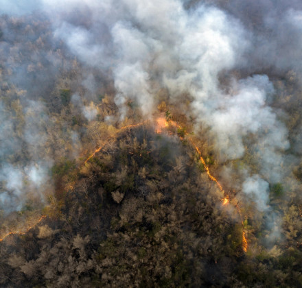 Αμαζόνιος: Οι χειρότερες πυρκαγιές των τελευταίων 20 ετών - Αύξηση-σοκ στο διοξείδιο του άνθρακα Αμαζόνιος: Οι χειρότερες πυρκαγιές των τελευταίων 20 ετών - Αύξηση-σοκ στο διοξείδιο του άνθρακα