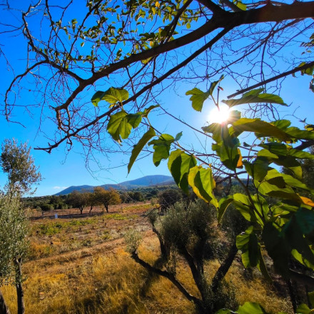 Κολυδάς: «Καιρός με μικρά καλοκαιράκια στην καρδιά του φθινοπώρου» - Πότε έρχονται βροχές
