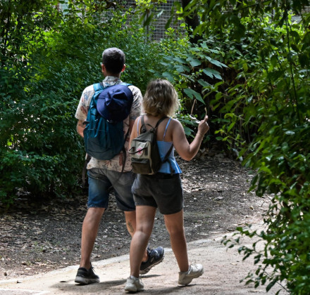 Καλοκαίρι μέσα στον Οκτώβριο: Τους 34 βαθμούς έφτασε ο υδράργυρος στην Κρήτη Καλοκαίρι μέσα στον Οκτώβριο: Τους 34 βαθμούς έφτασε ο υδράργυρος στην Κρήτη