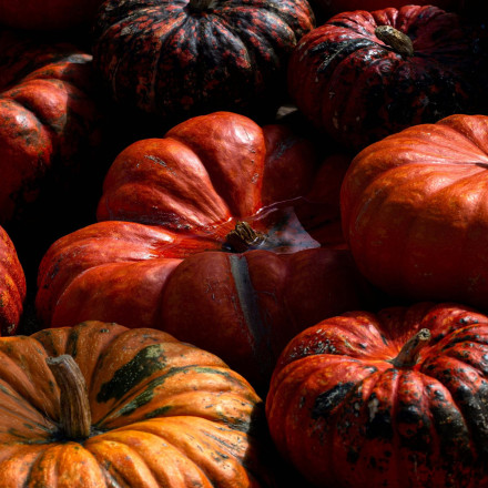 Η κολοκύθα είναι το superfood του φθινοπώρου – 10 λόγοι για να την εντάξεις στη διατροφή σου Η κολοκύθα είναι το superfood του φθινοπώρου – 10 λόγοι για να την εντάξεις στη διατροφή σου