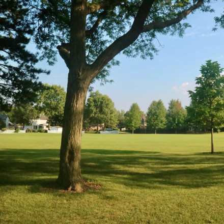 Νέο σοκ στα Χανιά: Κρεμασμένος σε δέντρο βρέθηκε 29χρονος