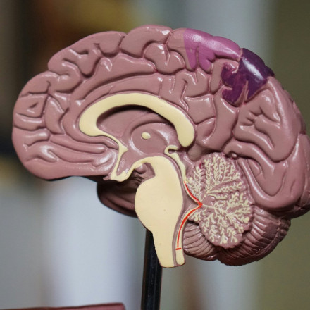 Στατίνες: Tο φάρμακο για τη χοληστερόλη προστατεύει και από την άνοια, δείχνει μελέτη