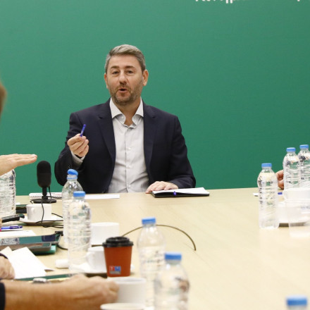 Ανδρουλάκης: Να σταματήσουμε να πυροβολούμε τα πόδια μας, έκανα εκλογές με αυτονομία από τη διαπλοκή