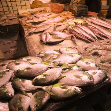 Μολυσμένο ένα στα τρία ψάρια που πωλείται σε ελληνικά σούπερ μάρκετ – Περιέχουν επικίνδυνα παράσιτα