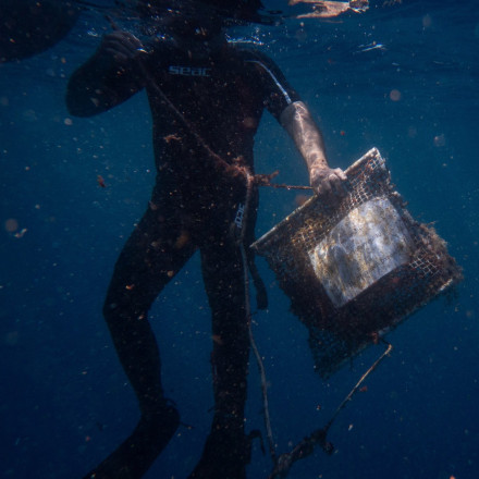 Reuters: Επιστήμονες στην Ελλάδα «μετράνε» με μύδια την μόλυνση από τα μικροπλαστικά