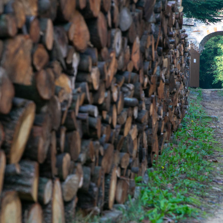 Θέρμανση: Δήμος της Αττικής κάνει δωρεάν διανομή καυσόξυλων
