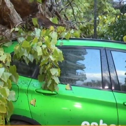 Πτώσεις δέντρων και ζημιές σε ΙΧ στη Θεσσαλονίκη λόγω κακοκαιρίας