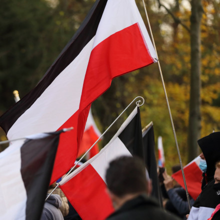 Γερμανία: Συνελήφθη «πολίτης του Ράιχ» που σχεδίαζε να δολοφονήσει Μέρκελ και Σολτς - Το σχέδιο