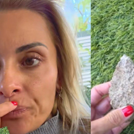 Επίθεση με πέτρες στο σπίτι της  Βασιλικής Μιλλούση και του Λευτέρη Πετρούνια