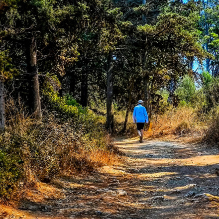 Συνεχίζεται το «φθινοπωρινό καλοκαίρι»: Πότε θα αλλάξει ο καιρός - Τι θα γίνει με τον χειμώνα