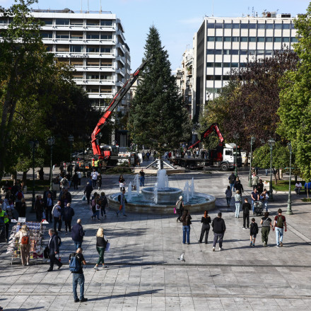 Στήθηκε στην πλατεία Συντάγματος το Χριστουγεννιάτικο δέντρο - Πότε θα φωταγωγηθεί