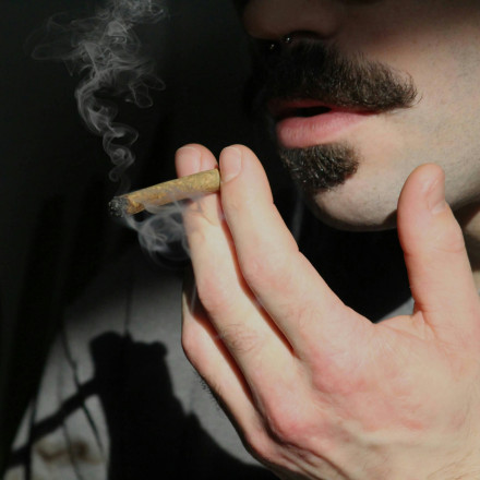 Θέλετε να αποφύγετε τoν στρατό; Καπνίστε μαριχουάνα πριν παρουσιαστείτε, λέει ο ηγέτης του Die Linke