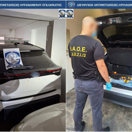 «Συνοδηγός» η ΕΛΑΣ στη διεθνή επιχείρηση «Mobile 8» - Πόσα κλεμμένα οχήματα εντοπίστηκαν στην Ελλάδα