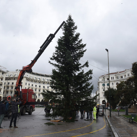 Στην πλατεία Αριστοτέλους το επιβλητικό χριστουγεννιάτικο δέντρο 18 μέτρων - Πότε είναι η φωταγώγηση