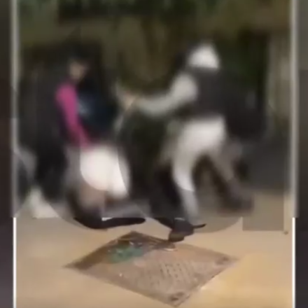 Εικόνες που σφίγγουν το στομάχι: Άγριος ξυλοδαρμός έφηβης από συνομήλικες - «Εμένα να βρίσεις μωρή»