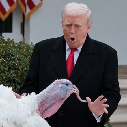 Ο «διάλογος» του Τραμπ με τη γαλοπούλα: Αν σε ονόμαζα Νάνσι δεν θα σου έδινα χάρη