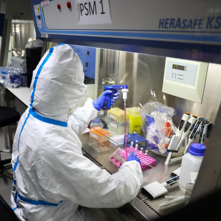 Η γρίπη των πτηνών κινδυνεύει να εξελιχθεί σε πανδημία χειρότερη από τον Covid αν μεταλλαχθεί