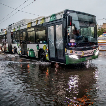 Νυχτερινή καταιγίδα στην Αθήνα: Πτώση δέντρων, πλημμύρες και χαλάζι - Πώς θα κινηθεί η ADEL