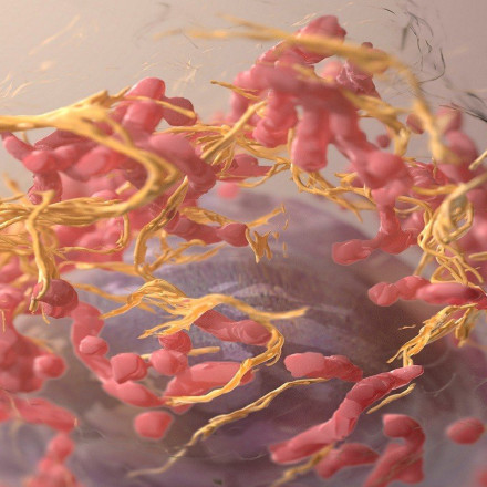 Νικόλαος Παπαδόπουλος: Αναπτύσσουμε τεστ που θα οδηγούν σε θεραπεία του καρκίνου – Θα ξέρουμε τα αποτελέσματα σε 2-5 χρόνια