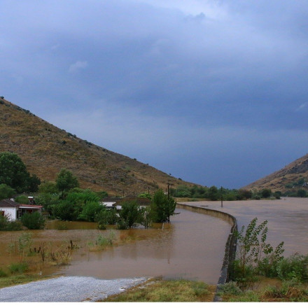 Κακοκαιρία Daniel: Υπό κατάρρευση η βιομηχανία γάλακτος και οι κτηνοτρόφοι – Έρχονται απίστευτες ελλείψεις στην αγορά