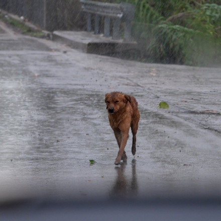 Καιρός: Τηλεδιάσκεψη Μητσοτάκη με το Συντονιστικό, στη Θεσσαλία ο Κικίλιας – Επί ποδός ο κρατικός μηχανισμός
