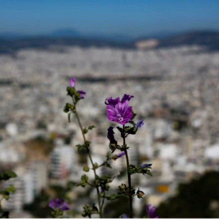 28η Οκτωβρίου: Αυτή είναι η πρώτη εκτίμηση για τον καιρό