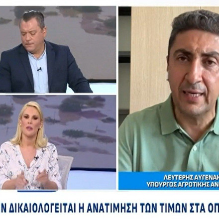 Αυγενάκης στο Action24: Κάποιοι παίζουν παιχνιδάκια και αισχροκερδούν σε βάρος των καταναλωτών